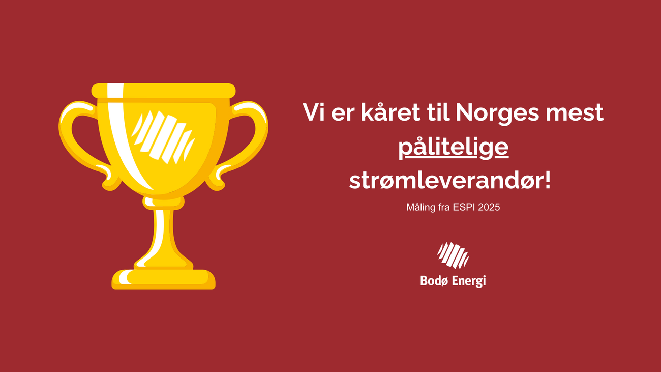 Bod&oslash; Energi k&aring;ret til Norges mest p&aring;litelige str&oslash;mleverand&oslash;r